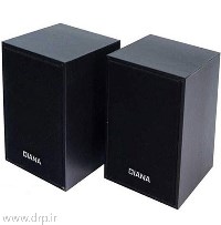 اسپیکر دو تکه دیانا D9A